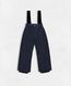 Штани зимові "Skipants",98 см LNI14838 фото 1
